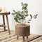 Vintiquewise Wooden Stump Tree Log with Bark Planter Pot with Small Tree Branch Legs QI003837 - alternate 2